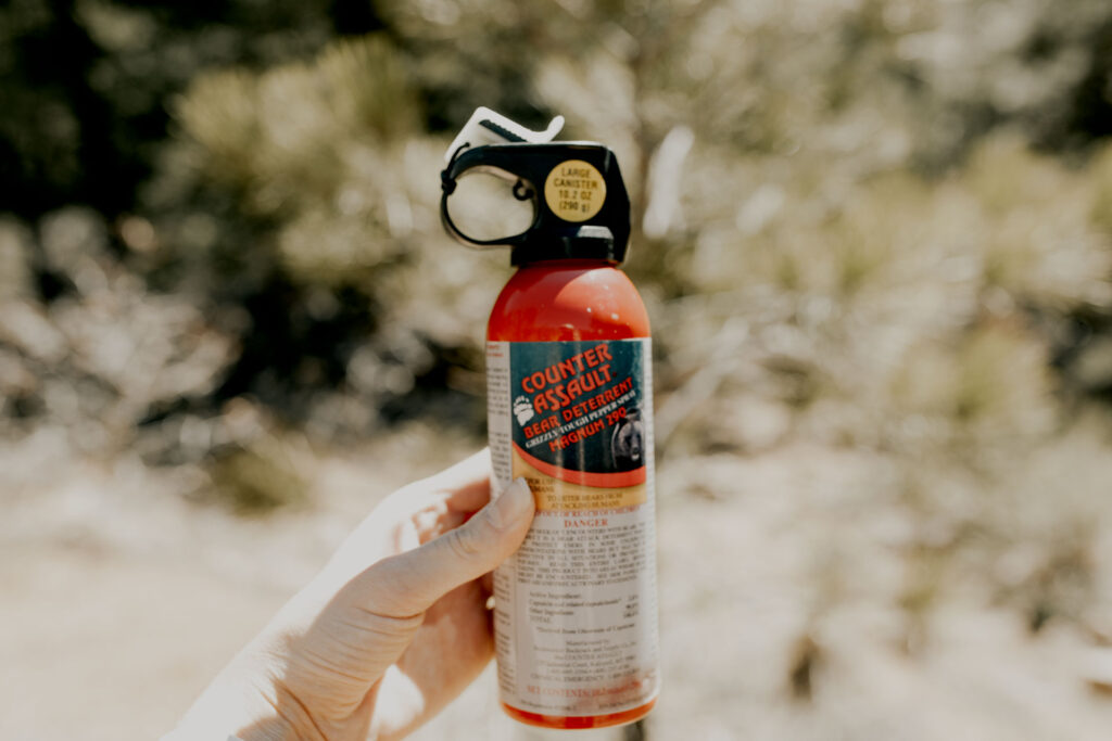 Hiking Gear: Bear Spray